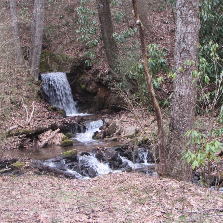 ווינסוויל Red Leaf River Inn מראה חיצוני תמונה