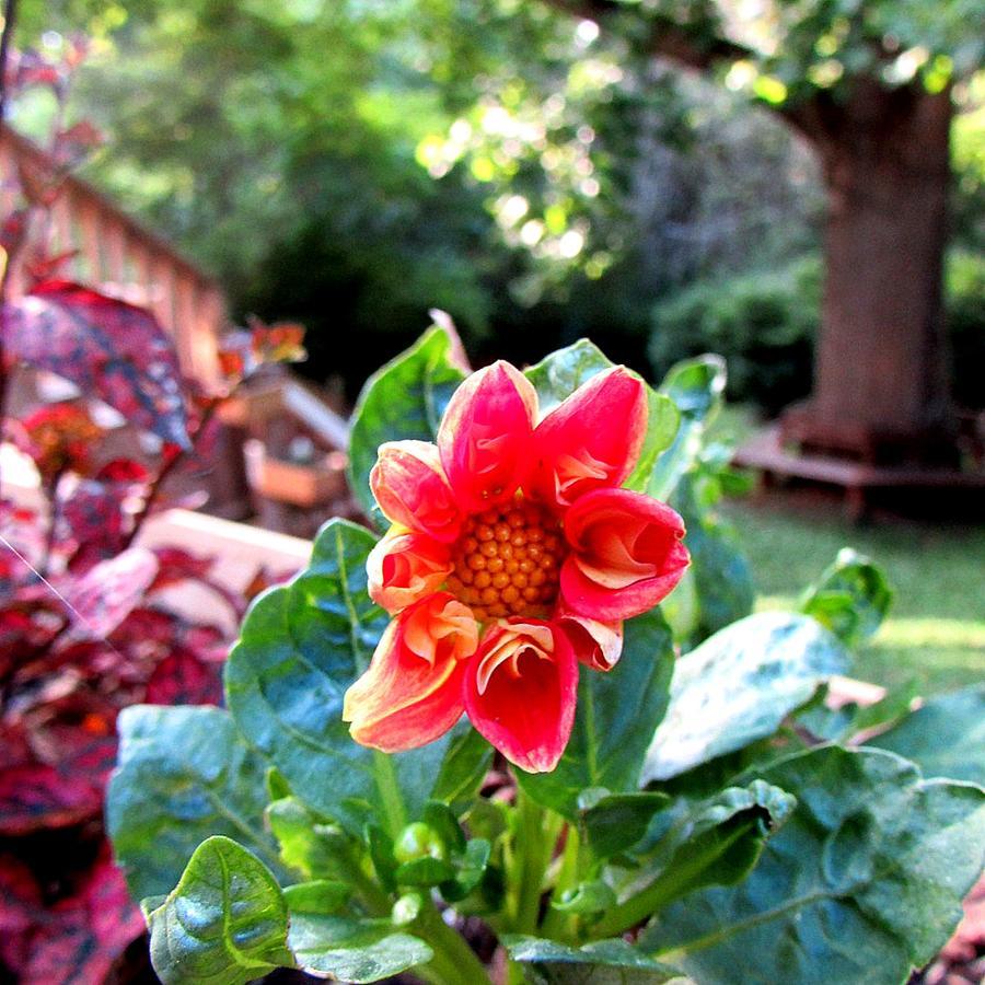ווינסוויל Red Leaf River Inn מראה חיצוני תמונה